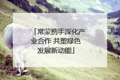 常蒙携手深化产业合作 共塑绿色发展新动能