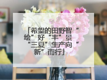 希望的田野智“绘”好“丰”景 “三夏”生产向“新”而行