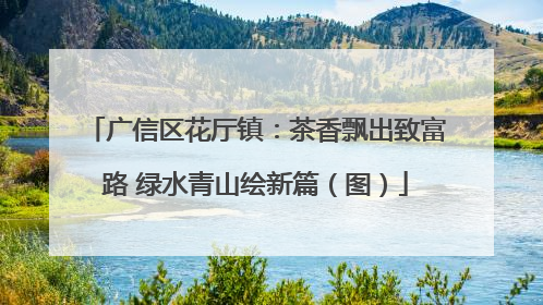 广信区花厅镇：茶香飘出致富路 绿水青山绘新篇（图）