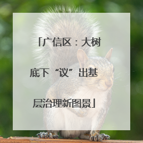 广信区：大树底下“议”出基层治理新图景