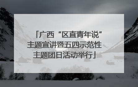 广西“区直青年说”主题宣讲暨五四示范性主题团日活动举行