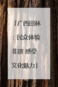 广西田林：民众体验非遗 感受文化魅力