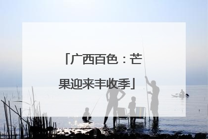 广西百色：芒果迎来丰收季