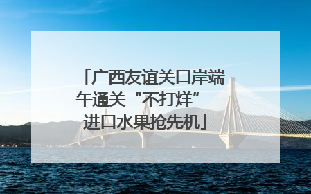 广西友谊关口岸端午通关“不打烊” 进口水果抢先机
