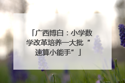 广西博白：小学数学改革培养一大批“速算小能手”