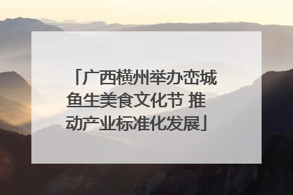 广西横州举办峦城鱼生美食文化节 推动产业标准化发展