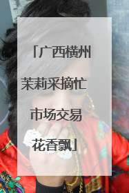 广西横州茉莉采摘忙 市场交易花香飘