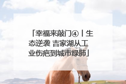 幸福来敲门④丨生态逆袭 吉家湖从工业伤疤到城市绿肺