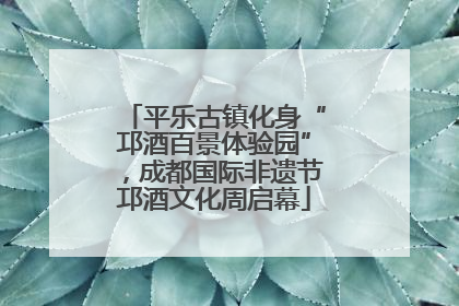 平乐古镇化身“邛酒百景体验园”，成都国际非遗节邛酒文化周启幕