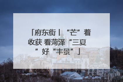 府东街丨“芒”着收获 看菏泽“三夏”好“丰景”
