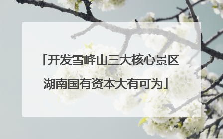 开发雪峰山三大核心景区 湖南国有资本大有可为