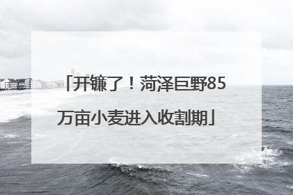 开镰了！菏泽巨野85万亩小麦进入收割期