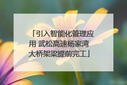 引入智能化管理应用 武松高速杨家湾大桥架梁提前完工