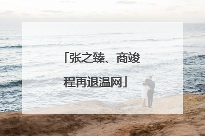张之臻、商竣程再退温网