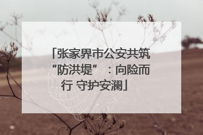 张家界市公安共筑“防洪堤”：向险而行 守护安澜