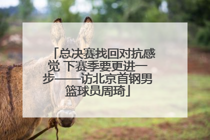 总决赛找回对抗感觉 下赛季要更进一步——访北京首钢男篮球员周琦