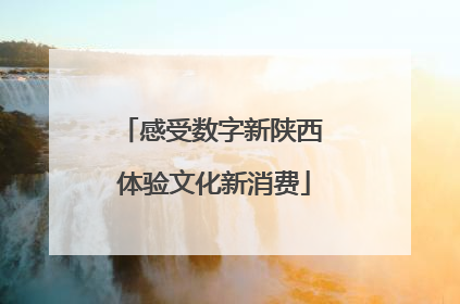 感受数字新陕西 体验文化新消费