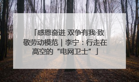感恩奋进 双争有我·致敬劳动模范｜李宁：行走在高空的“电网卫士”