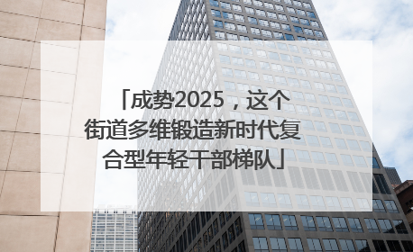 成势2025，这个街道多维锻造新时代复合型年轻干部梯队