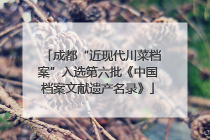成都“近现代川菜档案”入选第六批《中国档案文献遗产名录》
