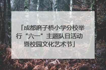 成都磨子桥小学分校举行“六一”主题队日活动暨校园文化艺术节