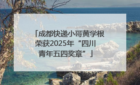 成都快递小哥黄学根荣获2025年“四川青年五四奖章”