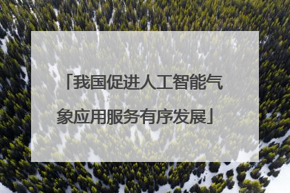 我国促进人工智能气象应用服务有序发展