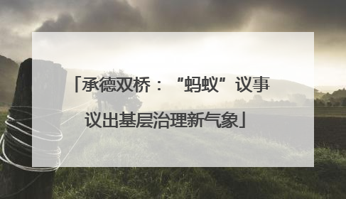 承德双桥：“蚂蚁”议事 议出基层治理新气象