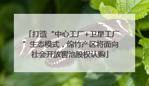 打造“中心工厂+卫星工厂”生态模式，绵竹产区将面向社会开放窖池股权认购