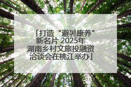 打造“避暑康养”新名片 2025年湖南乡村文旅投融资洽谈会在桃江举办