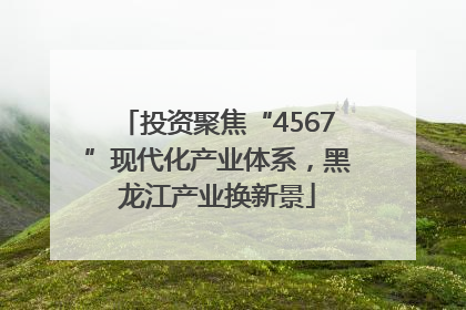 投资聚焦“4567”现代化产业体系，黑龙江产业换新景