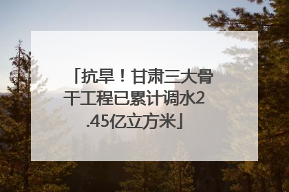 抗旱！甘肃三大骨干工程已累计调水2.45亿立方米