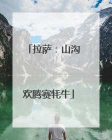 拉萨：山沟欢腾赛牦牛