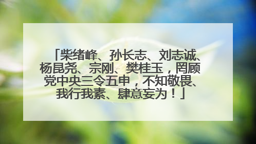柴绪峰、孙长志、刘志诚、杨昆尧、宗刚、樊桂玉，罔顾党中央三令五申，不知敬畏、我行我素、肆意妄为！