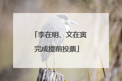 李在明、文在寅完成提前投票