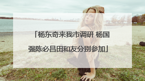 杨东奇来我市调研 杨国强陈必昌田和友分别参加
