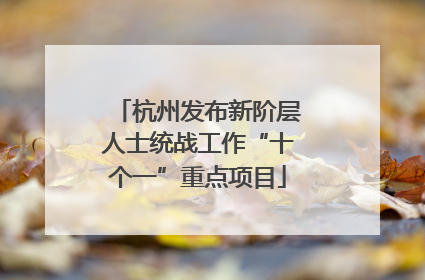 杭州发布新阶层人士统战工作“十个一”重点项目