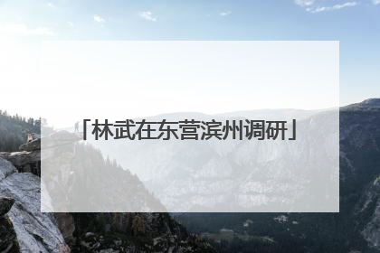 林武在东营滨州调研