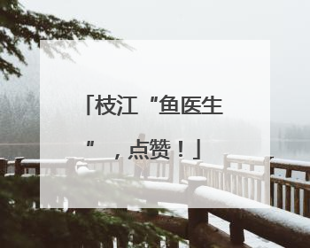 枝江“鱼医生”，点赞！
