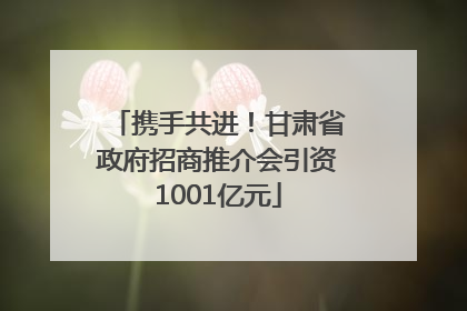 携手共进！甘肃省政府招商推介会引资1001亿元