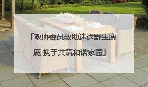 政协委员救助迷途野生麋鹿 携手共筑和谐家园