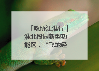 政协江淮行｜淮北段园新型功能区：“飞地经济”拔节生长