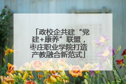 政校企共建“党建+康养”联盟，枣庄职业学院打造产教融合新范式