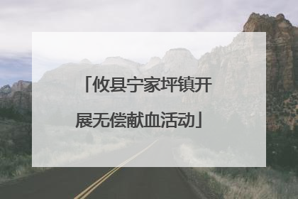 攸县宁家坪镇开展无偿献血活动