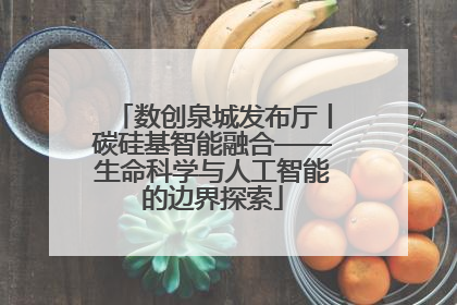 数创泉城发布厅丨碳硅基智能融合——生命科学与人工智能的边界探索