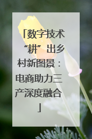 数字技术“耕”出乡村新图景：电商助力三产深度融合