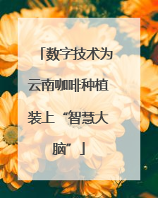 数字技术为云南咖啡种植装上“智慧大脑”