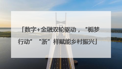 数字+金融双轮驱动，“栀梦行动”“浙”样赋能乡村振兴