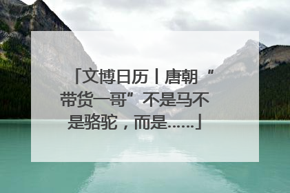文博日历丨唐朝“带货一哥”不是马不是骆驼，而是……