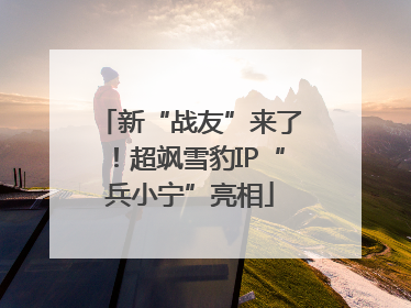 新“战友”来了！超飒雪豹IP“兵小宁”亮相